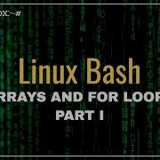 How To Use Arrays And For Loops In Bash Part I