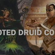 Modern Devoted Druid Combo