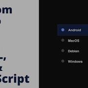 Create Custom Radio Input Button Using HTML CSS JavaScript