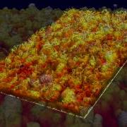 Evolution Of The Enstrophy Interface In Boundary Layers