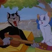 Tom Jerry Sen Ayrı Trende Ben Ayrı Garda