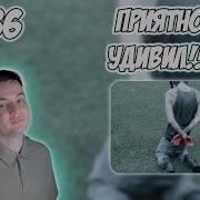 9MICE NO FEAR РЕАКЦИЯ
