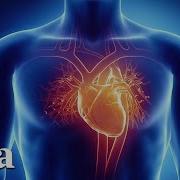 This Powerful Technique Facilitates Heart Brain Coherence