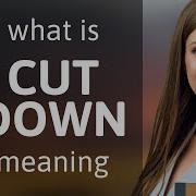 Cut Down Meaning Of CUT DOWN