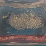 Polymorph Video Supplied By The SSERC