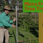 Farm Project Micro Fruit Tree Trellis Espalier How To