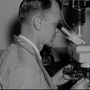 How DNA Changed The World Of Forensics Retro Report The New York Times