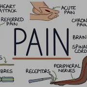 Understanding The Causes Of Pain And Pain Management