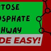 THE PENTOSE PHOSPHATE PATHWAY MADE EASY