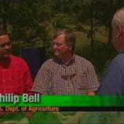 Emerald Ash Borer The Green Menace