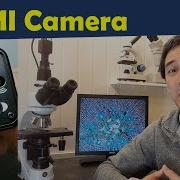 Подключение промышленной HDMI камеры к микроскопу