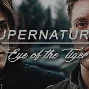 Supernatural Eye Of The Tiger