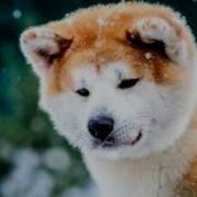 Что Будет Если Воздух Исчезнет На 5 Секунд