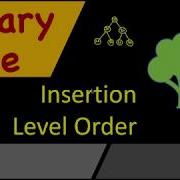 Binary Tree Level Order Insertion Binary Tree Insertion C