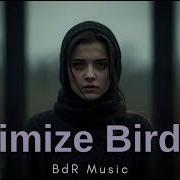 Alişan İkimize Birden AI Cover BdR Music