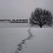 Digital Summer Worth The Pain
