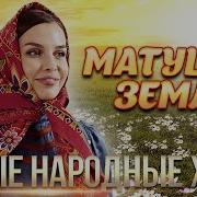 МАТУШКА ЗЕМЛЯ НОВЫЕ НАРОДНЫЕ ХИТЫ САДКО А Петрухин Т Куртукова ЦВЕТЕНЬ MEGA HIT