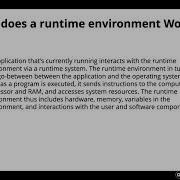 NodeJS Runtime Environment