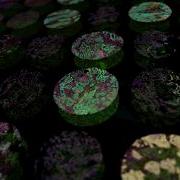 Tissue Microarray Ft GoT Theme Alternate Version