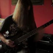Vektor Dying World Guitar Cover With Solo
