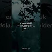 Kapanmayan Yaralar