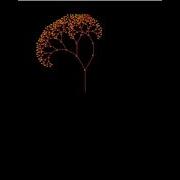 How To Draw Fractal Tree Using Python Turtle Code Link In Description Python Turtle Fractaltree