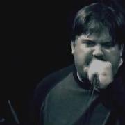 The Abused Live At The A7 Reunion 2008