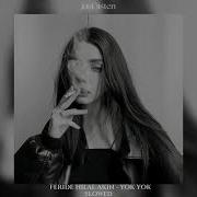 Feride Hilal Akın Yok Yok Slowed Reverb