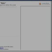Logging In To The Webcast And Running ActiveX