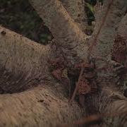 Naive Sleeping At Last Micro Music Video