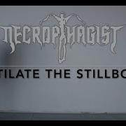 Necrophagist Mutilate The Stillborn