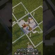 Chicken Launcher