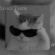 Serdar Ortaç Havalı Yarim Sped Up