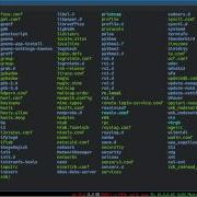 Linux Sysadmin Basics 7 Filesystem Layout Overview