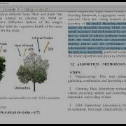 Crop Yield Prediction Using Remote Sensing And Meteorological Data