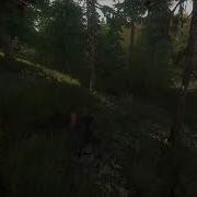 Miscreated Review Damage Test