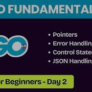 Go Programming Fundamentals Pointers JSON Handling Marshal UnMarshal Control Statements