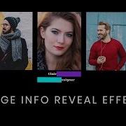 Image Info Box Hover Effect CSS Text Reveal On Hover Effect