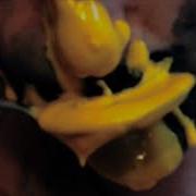 Plastic Weather Echo Chamber OFFICIAL MUSIC VIDEO
