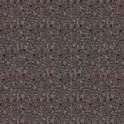Animated Single Image Stereogram 1