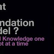 What Is A Foundation Model