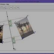 Exploring Properties Of Reflection