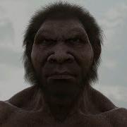 Homo Naledi Evolution Эволюция от обезьяны к человеку