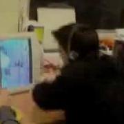 Counter Strike Nerd Rage
