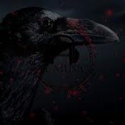 Xcho Вороны Slowed Reverb текст песни
