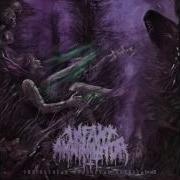 Infant Annihilator Blasphemian 2016