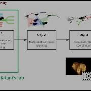 Multidrone Symposium Joint Object Detection And Multi Object Tracking
