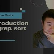 Linux Basics Pattern Matching And Sorting Commands Grep Sort