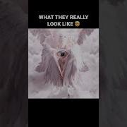 What Angels Really Look Like Angels Fyp Xyzbca