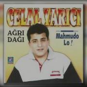 Celal Yarıcı Şaşa Kaldım